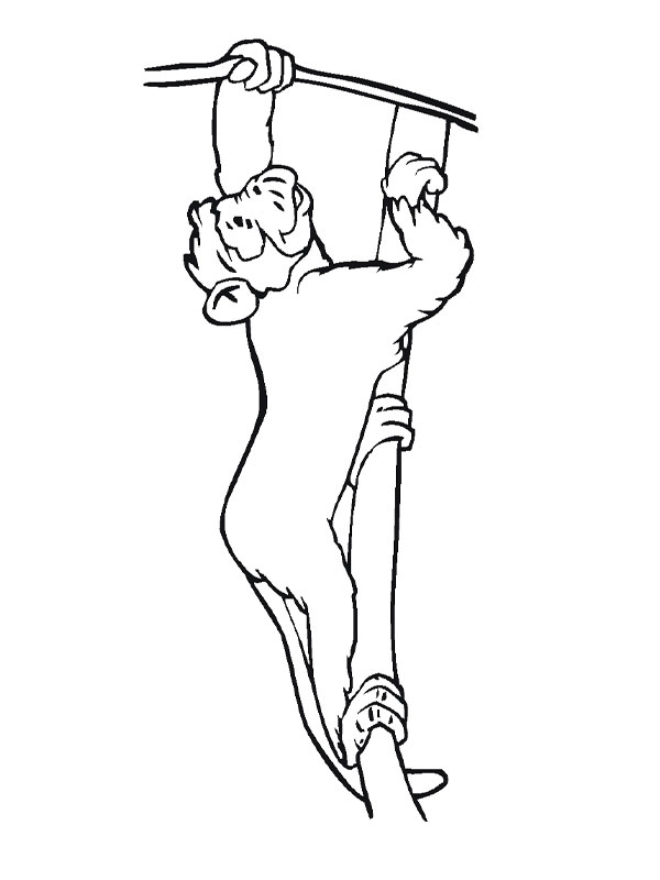 coloriage singe grimpant a l arbre